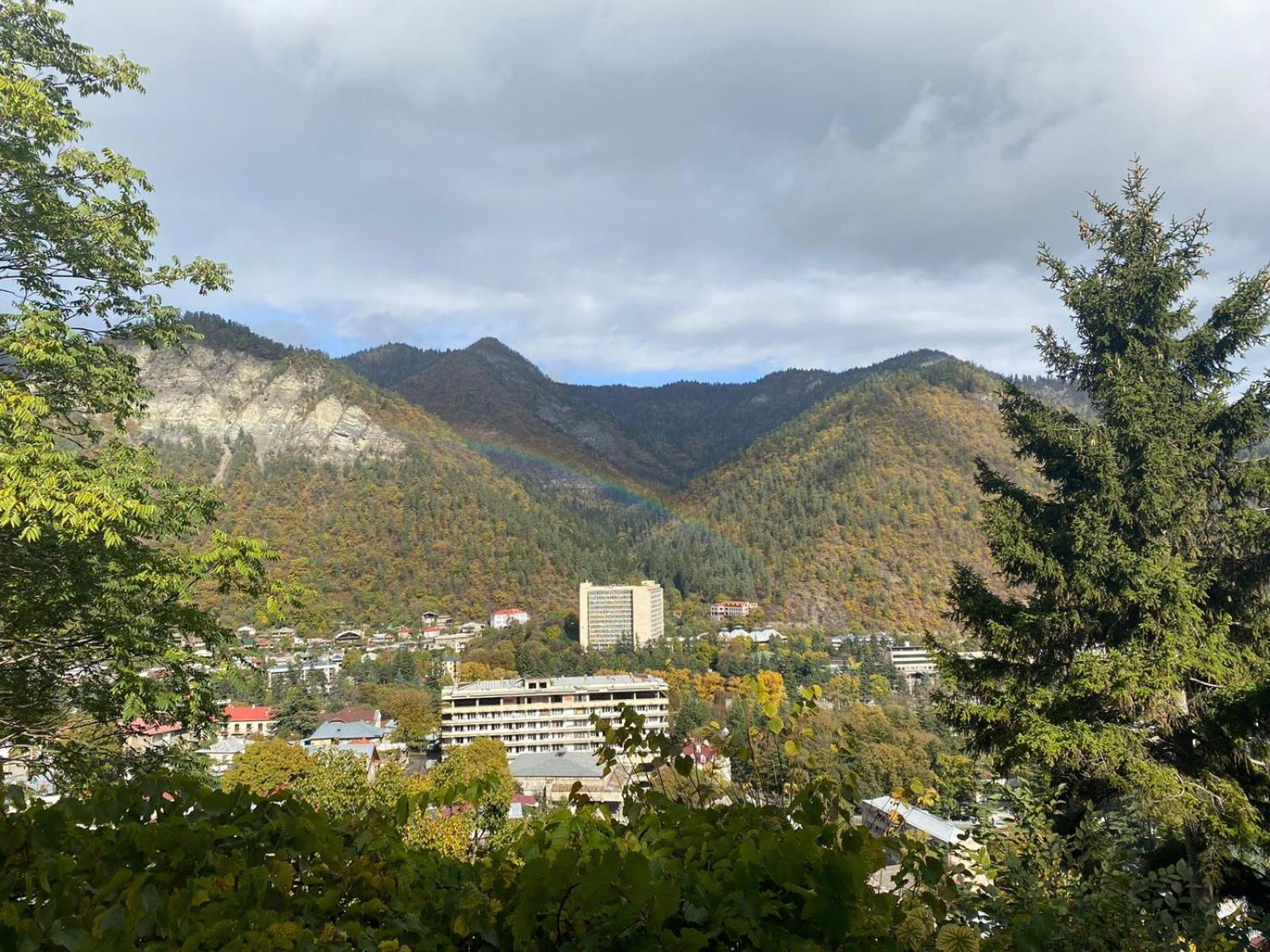 Anano'S House Apartment Borjomi Exterior photo